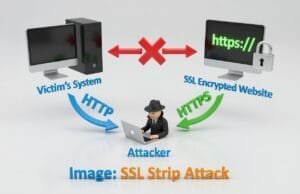 Diagram showing victim system, attacker, and encrypted website with HTTP/HTTPS paths.